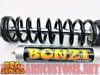 BIG SHOCKS - 2.5" S-Series (2) Shock & Spring Packages